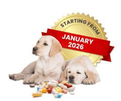 January 2026